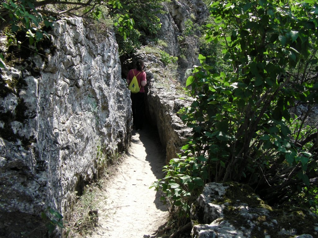 Натиснете снимката за да я уголемите

Име:CAM_0962.jpg
Прегледи:1
Размер:274.8 КБ
ID:5497660