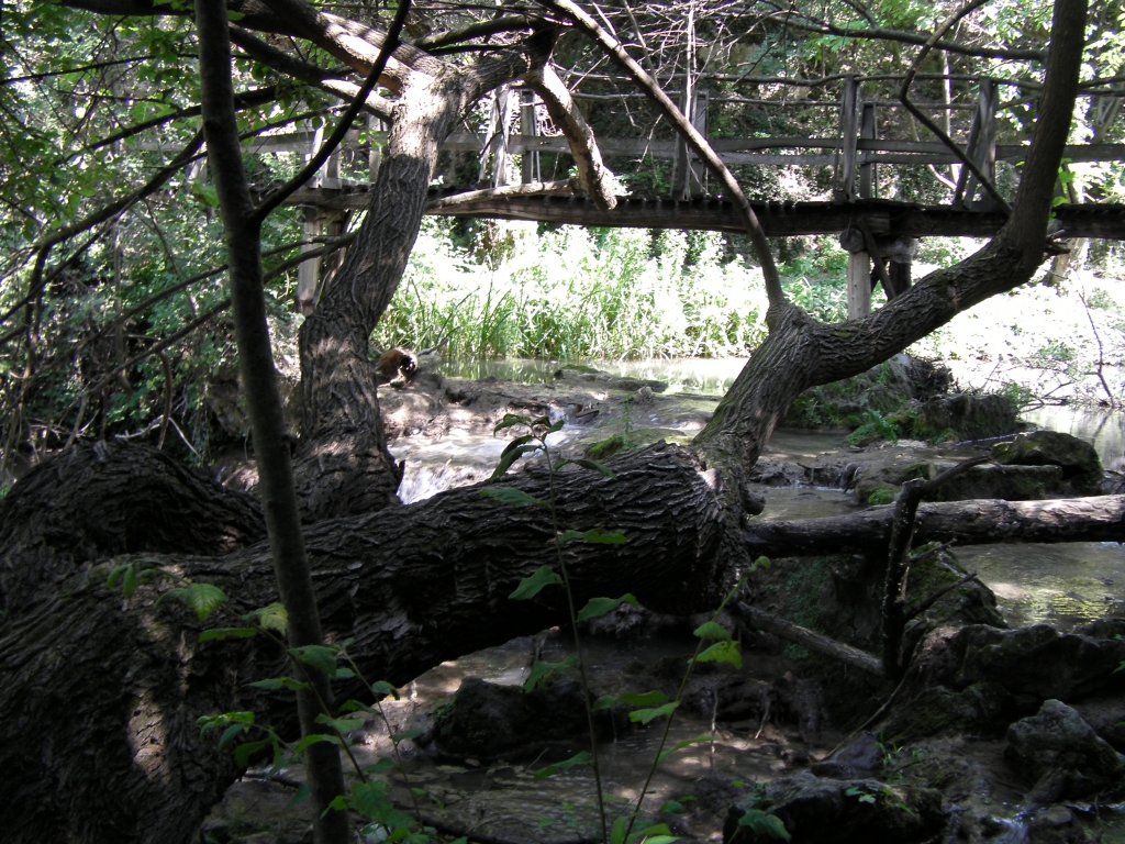 Натиснете снимката за да я уголемите

Име:CAM_0978.jpg
Прегледи:1
Размер:234.4 КБ
ID:5497665