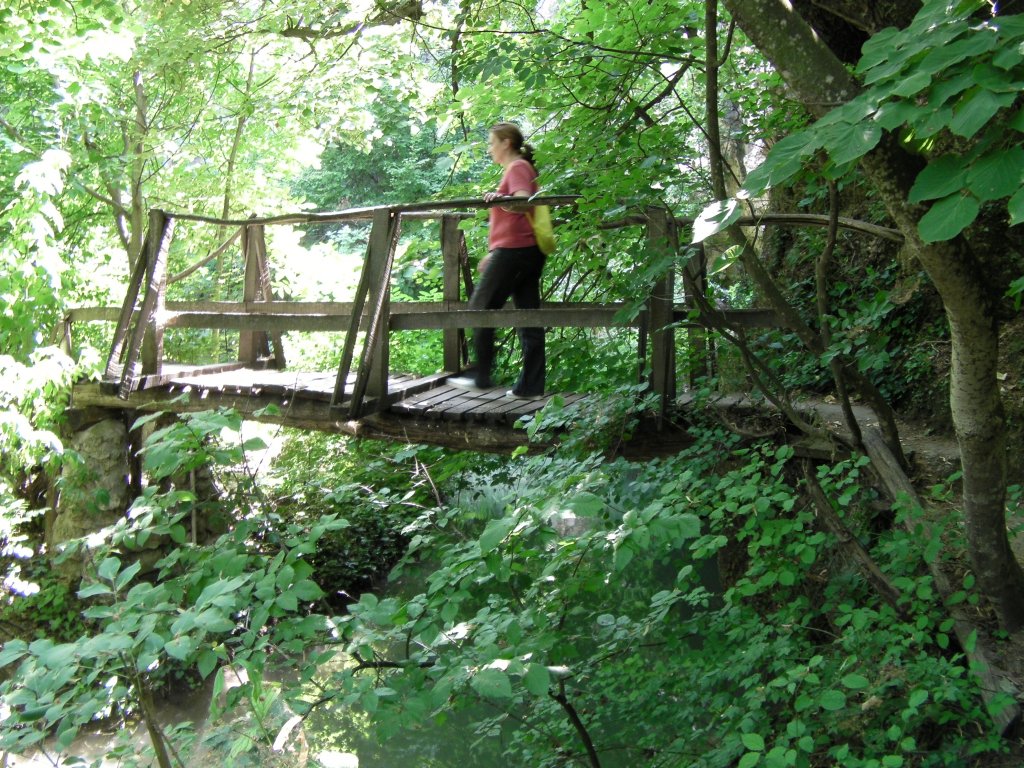 Натиснете снимката за да я уголемите

Име:CAM_0979.jpg
Прегледи:1
Размер:266.0 КБ
ID:5497666