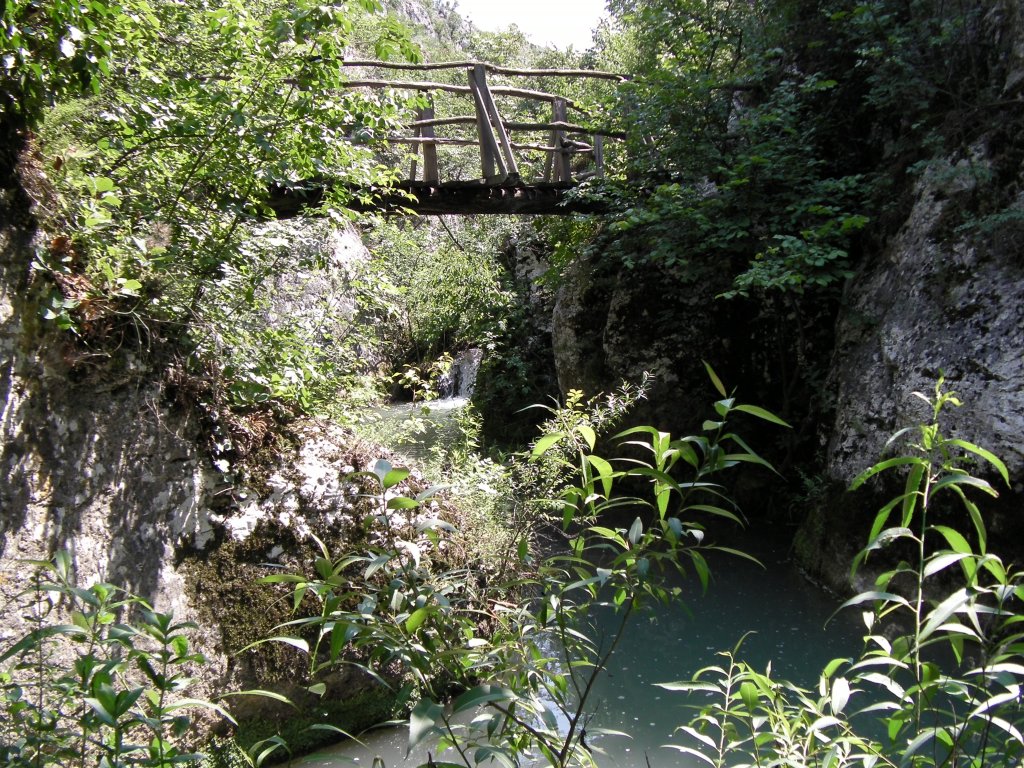 Натиснете снимката за да я уголемите

Име:CAM_0983.jpg
Прегледи:1
Размер:306.2 КБ
ID:5497670