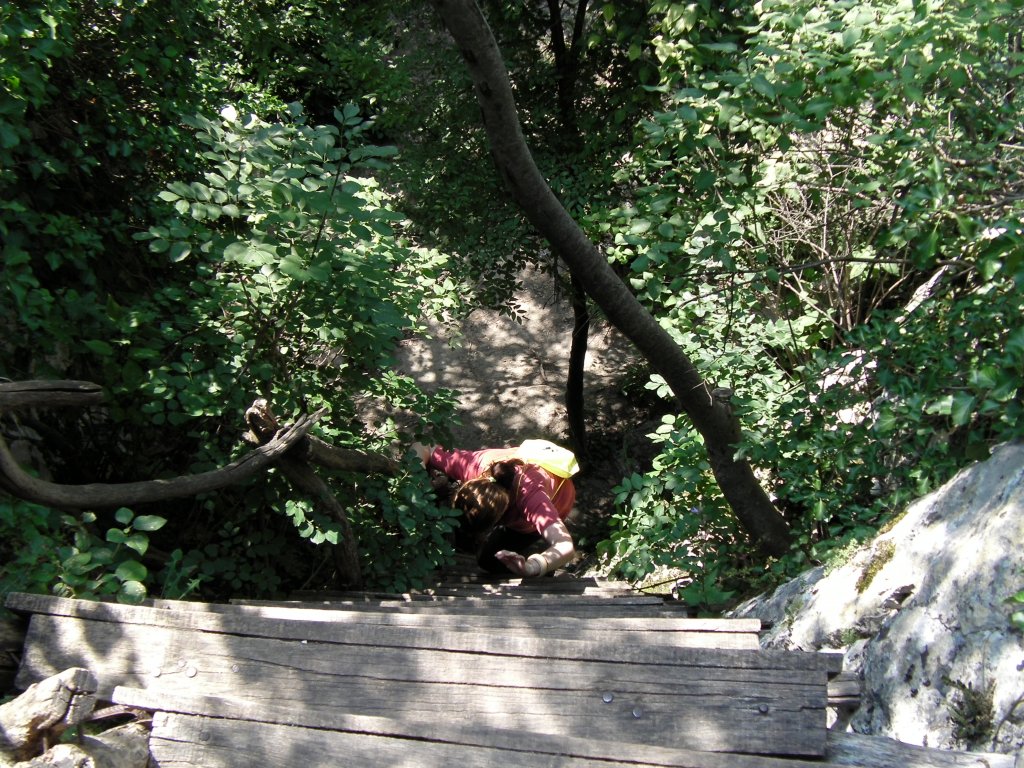 Натиснете снимката за да я уголемите

Име:CAM_0991.jpg
Прегледи:1
Размер:260.8 КБ
ID:5497672