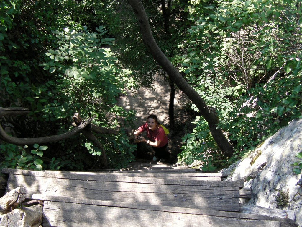 Натиснете снимката за да я уголемите

Име:CAM_0992.jpg
Прегледи:1
Размер:264.8 КБ
ID:5497673