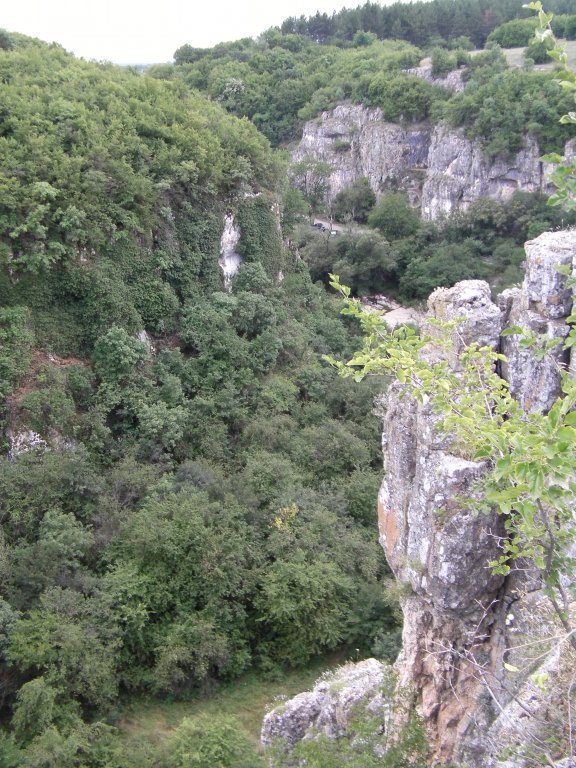 Натиснете снимката за да я уголемите

Име:CAM_0993.jpg
Прегледи:1
Размер:155.1 КБ
ID:5497674