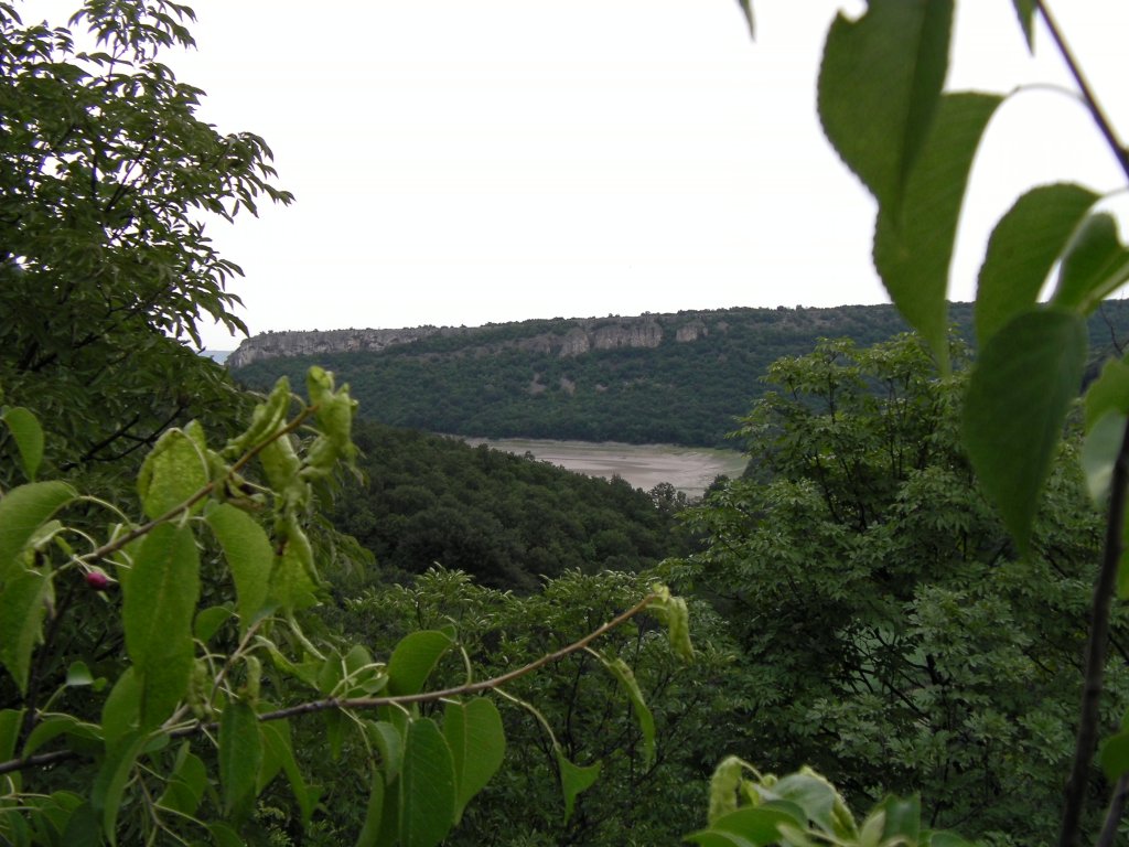 Натиснете снимката за да я уголемите

Име:CAM_0002.jpg
Прегледи:1
Размер:144.6 КБ
ID:5497678