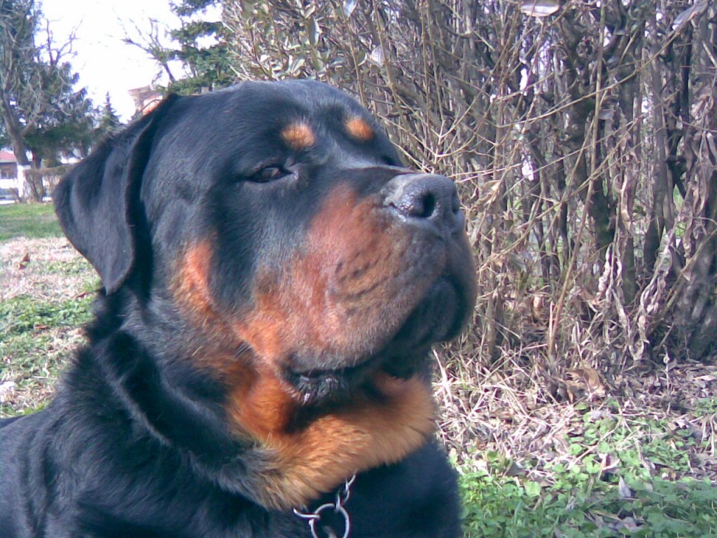 Натиснете снимката за да я уголемите

Име:Image(004).jpg
Прегледи:1
Размер:202.7 КБ
ID:5501091