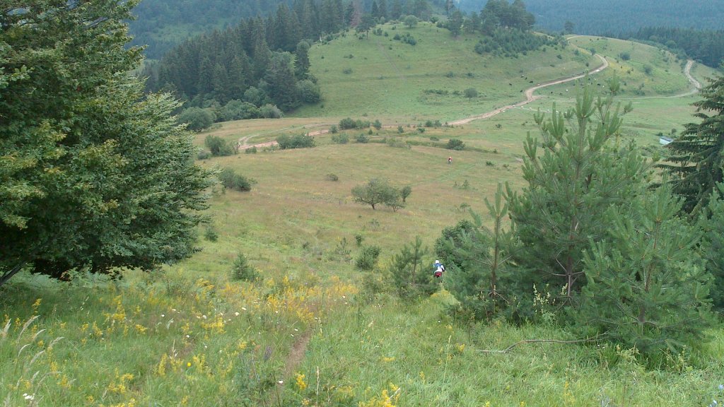 Натиснете снимката за да я уголемите

Име:DSC_0802.jpg
Прегледи:1
Размер:172.4 КБ
ID:5501355