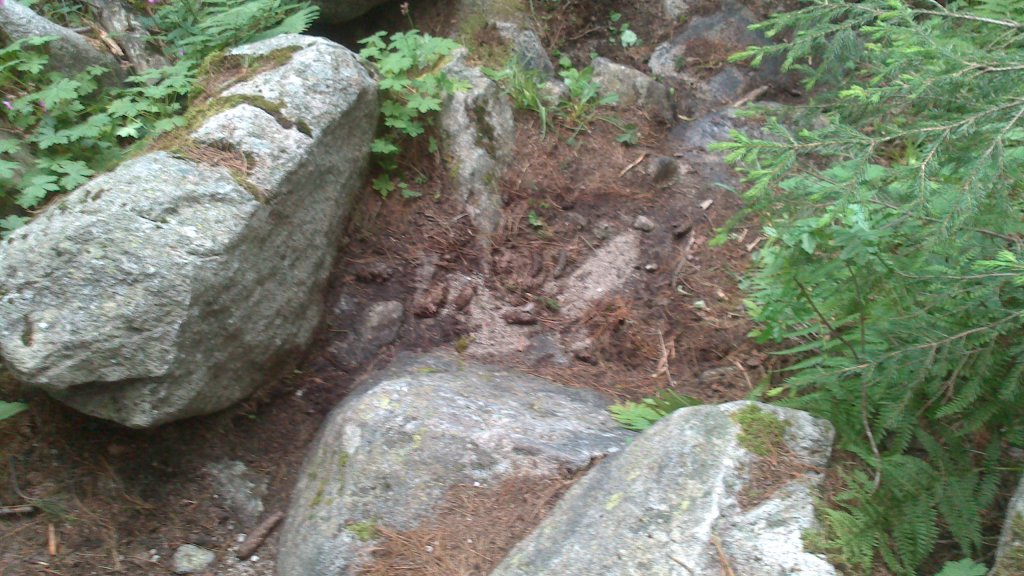 Натиснете снимката за да я уголемите

Име:DSC_0934.jpg
Прегледи:1
Размер:157.0 КБ
ID:5503163