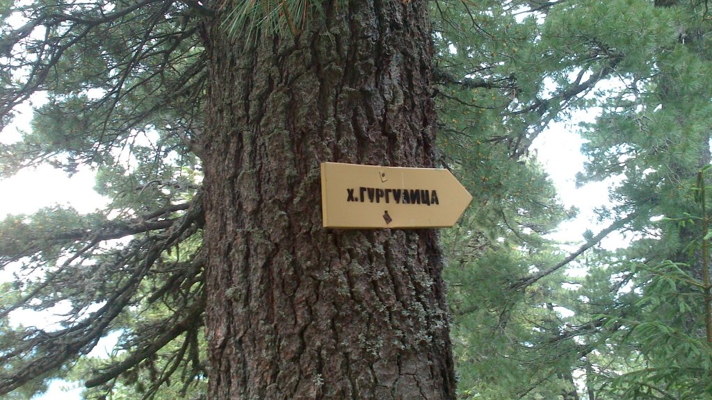 Натиснете снимката за да я уголемите

Име:DSC_0965.jpg
Прегледи:1
Размер:197.4 КБ
ID:5503362