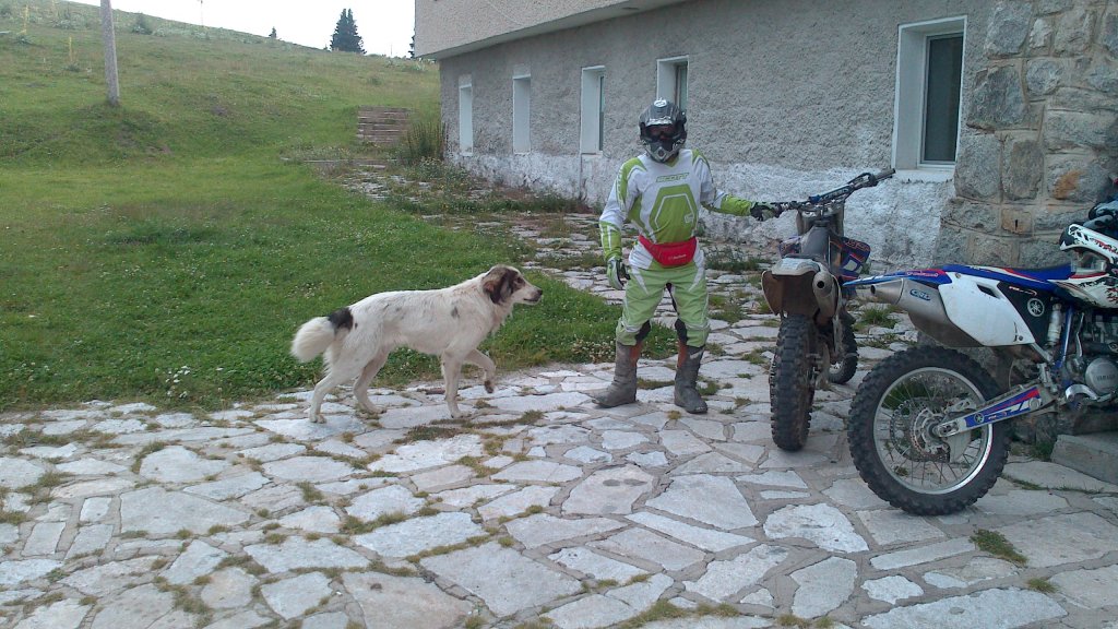 Натиснете снимката за да я уголемите

Име:DSC_1010.jpg
Прегледи:1
Размер:166.7 КБ
ID:5503406