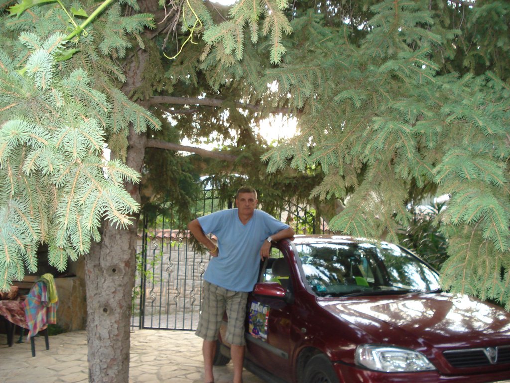 Натиснете снимката за да я уголемите

Име:DSC09882.jpg
Прегледи:1
Размер:232.4 КБ
ID:5503637