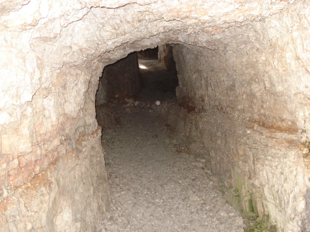 Натиснете снимката за да я уголемите

Име:DSC00033.jpg
Прегледи:1
Размер:164.8 КБ
ID:5503730