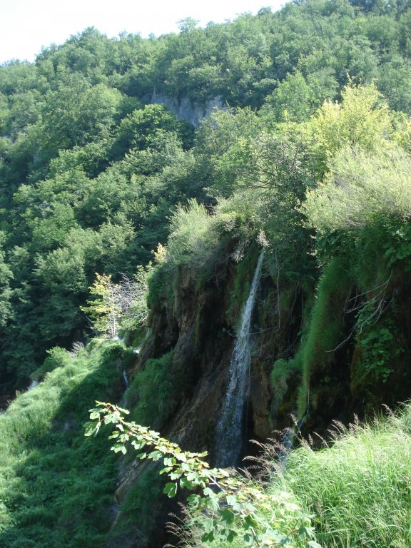 Натиснете снимката за да я уголемите

Име:DSC00253.jpg
Прегледи:1
Размер:148.9 КБ
ID:5504833