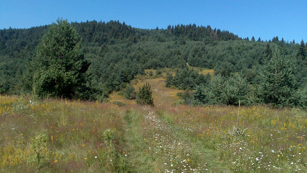 Натиснете снимката за да я уголемите

Име:DSC_1095.jpg
Прегледи:1
Размер:186.9 КБ
ID:5505836