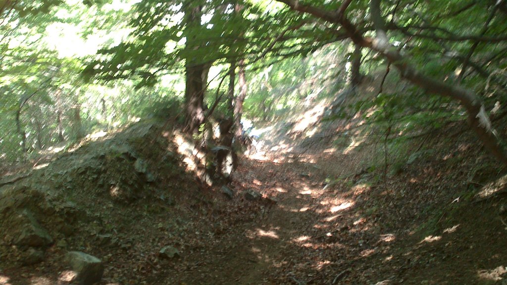 Натиснете снимката за да я уголемите

Име:DSC_1096.jpg
Прегледи:1
Размер:167.4 КБ
ID:5505837