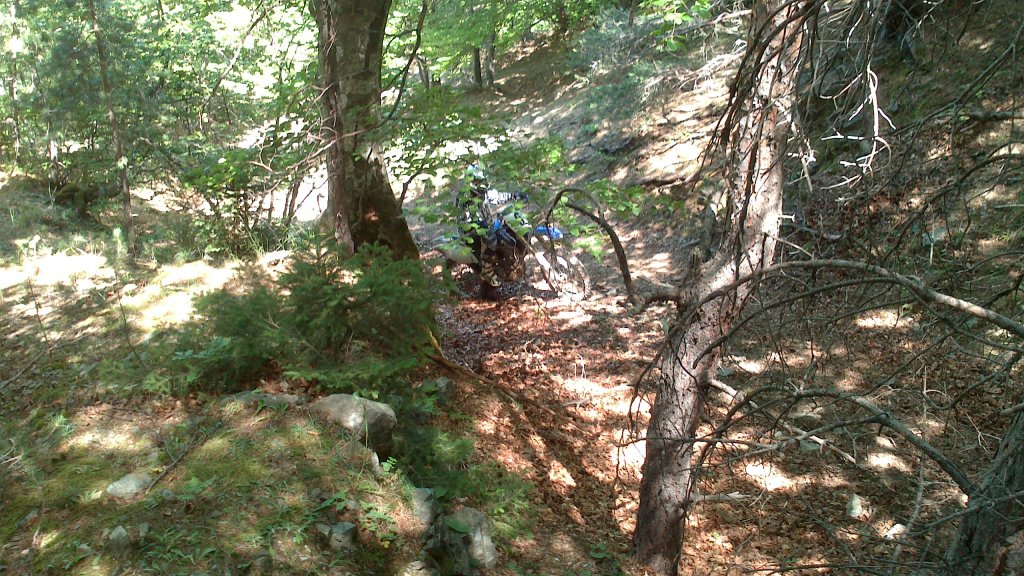 Натиснете снимката за да я уголемите

Име:DSC_1097.jpg
Прегледи:1
Размер:232.9 КБ
ID:5505838