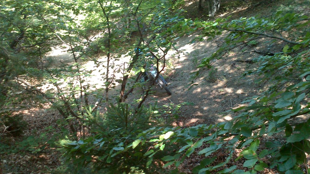 Натиснете снимката за да я уголемите

Име:DSC_1099.jpg
Прегледи:1
Размер:207.0 КБ
ID:5505839