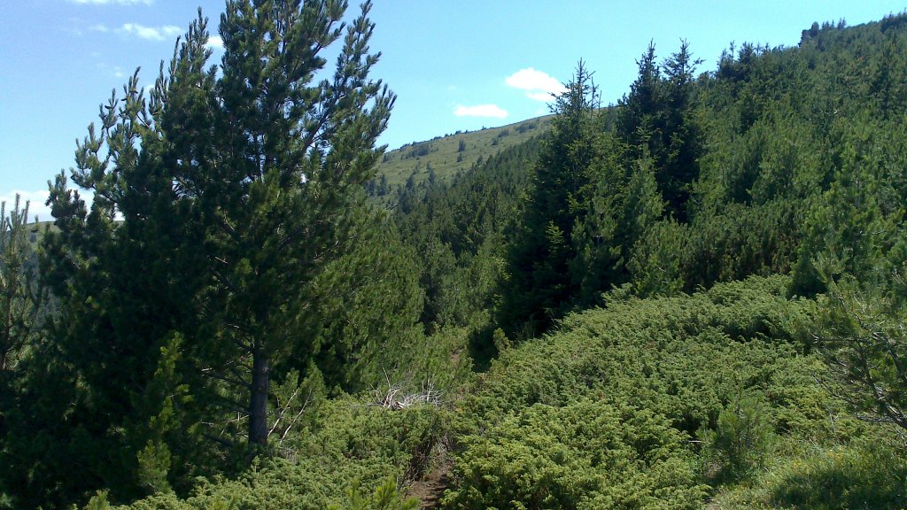 Натиснете снимката за да я уголемите

Име:DSC_1105.jpg
Прегледи:1
Размер:190.3 КБ
ID:5505845