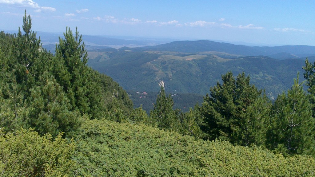 Натиснете снимката за да я уголемите

Име:DSC_1109.jpg
Прегледи:1
Размер:168.7 КБ
ID:5505898