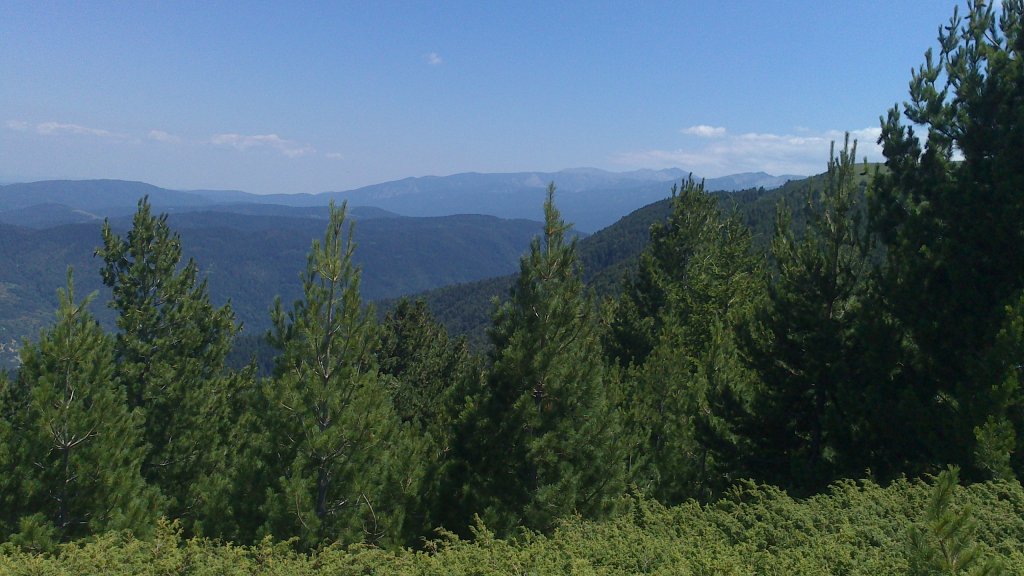 Натиснете снимката за да я уголемите

Име:DSC_1110.jpg
Прегледи:1
Размер:122.2 КБ
ID:5505899