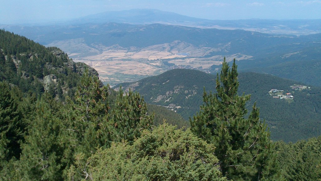 Натиснете снимката за да я уголемите

Име:DSC_1112.jpg
Прегледи:1
Размер:157.0 КБ
ID:5505901