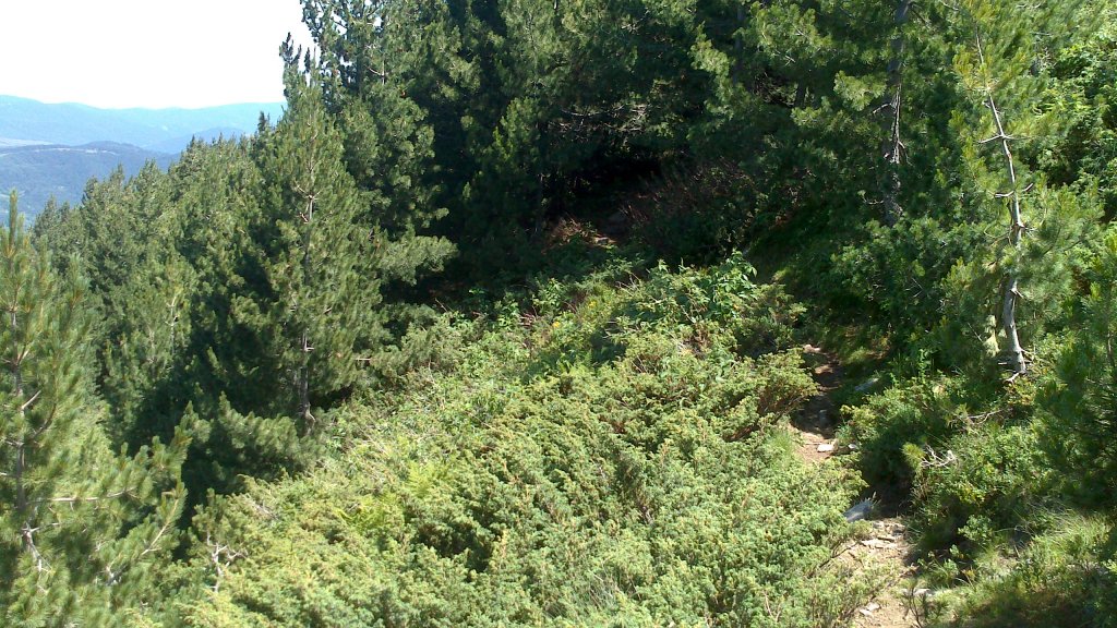 Натиснете снимката за да я уголемите

Име:DSC_1114.jpg
Прегледи:1
Размер:230.8 КБ
ID:5505903