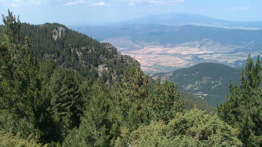 Натиснете снимката за да я уголемите

Име:DSC_1117.jpg
Прегледи:1
Размер:166.4 КБ
ID:5505906