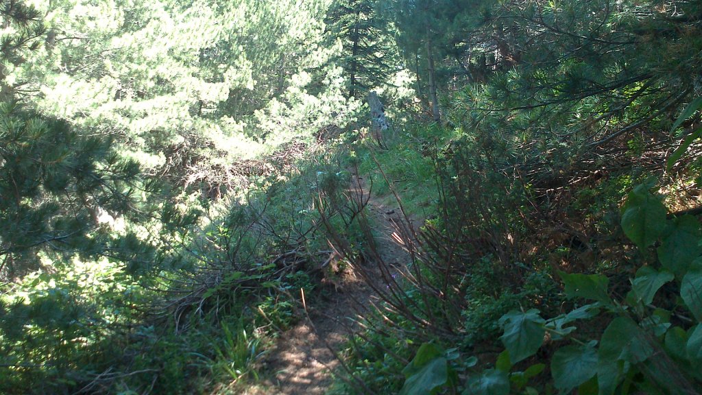 Натиснете снимката за да я уголемите

Име:DSC_1119.jpg
Прегледи:1
Размер:207.8 КБ
ID:5505908