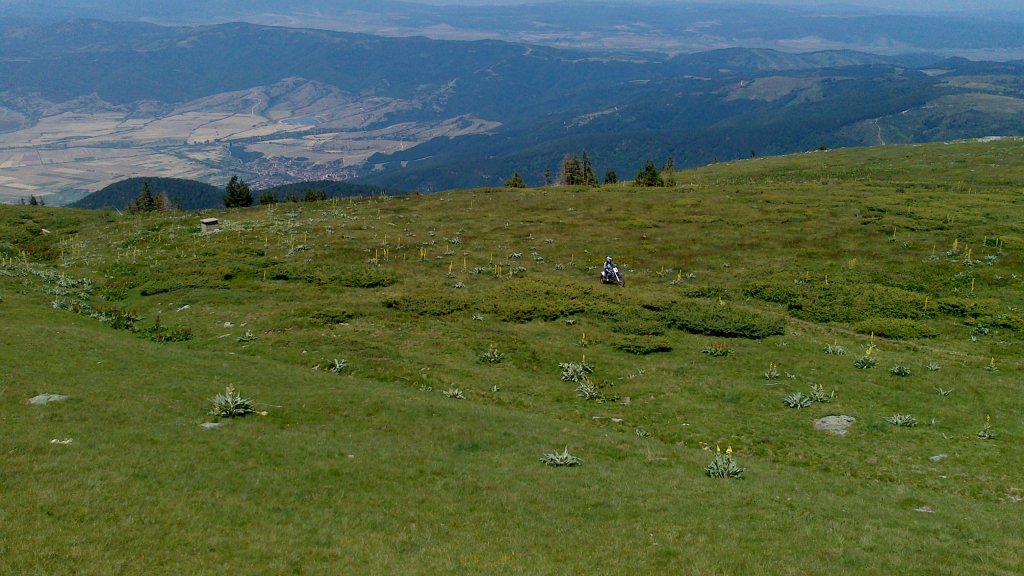 Натиснете снимката за да я уголемите

Име:DSC_1130.jpg
Прегледи:1
Размер:136.4 КБ
ID:5505916