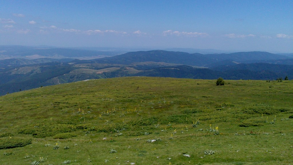 Натиснете снимката за да я уголемите

Име:DSC_1136.jpg
Прегледи:1
Размер:112.1 КБ
ID:5505922