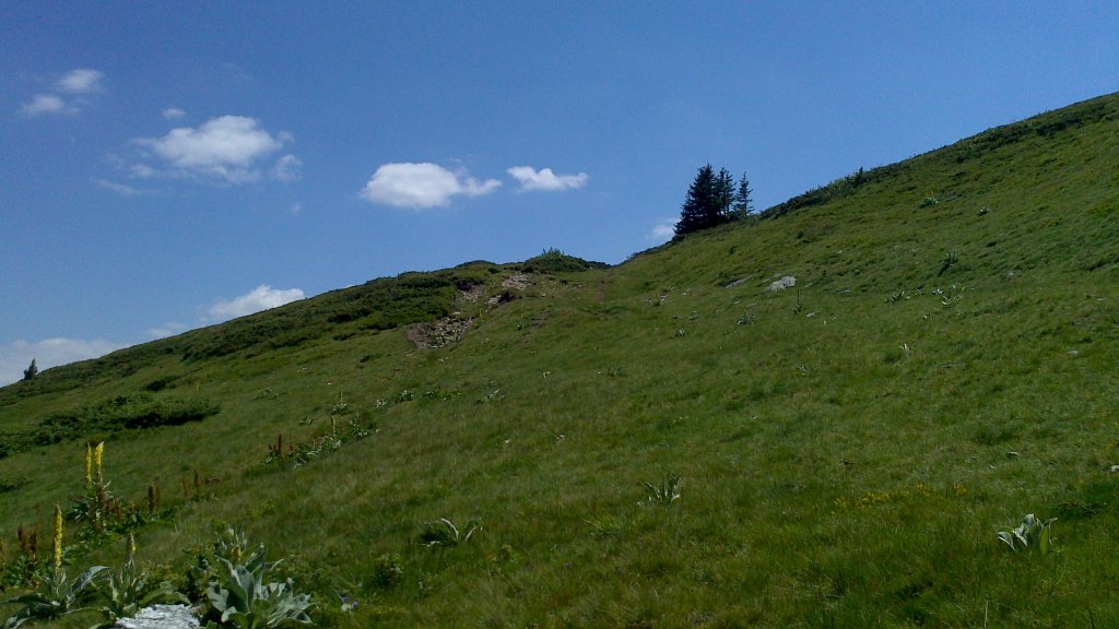 Натиснете снимката за да я уголемите

Име:DSC_1140.jpg
Прегледи:1
Размер:109.9 КБ
ID:5505926