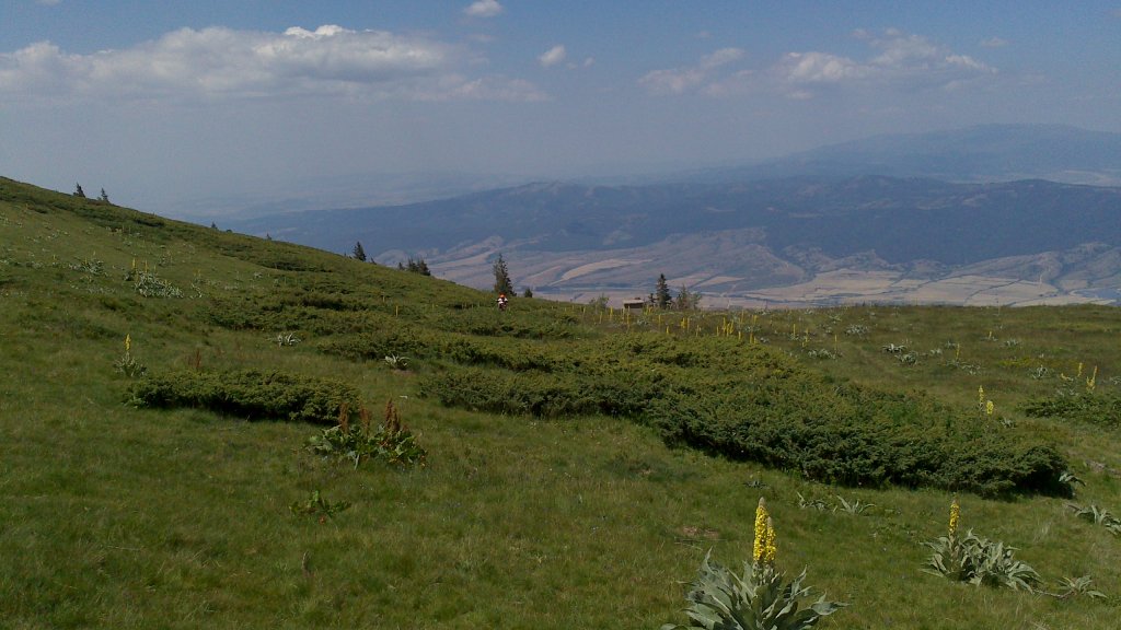 Натиснете снимката за да я уголемите

Име:DSC_1141.jpg
Прегледи:1
Размер:111.1 КБ
ID:5505927