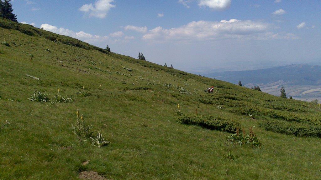 Натиснете снимката за да я уголемите

Име:DSC_1142.jpg
Прегледи:1
Размер:121.1 КБ
ID:5505928