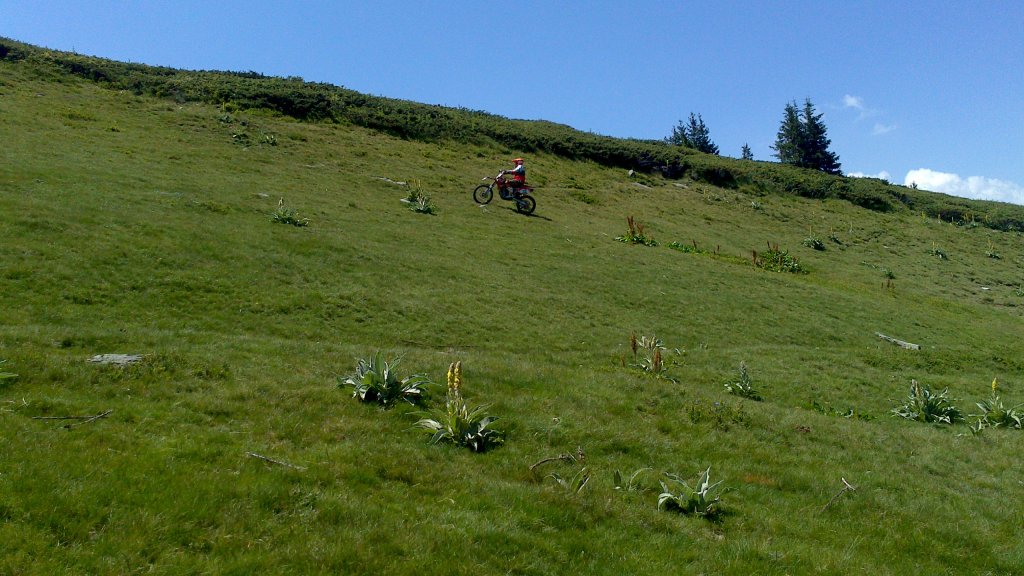 Натиснете снимката за да я уголемите

Име:DSC_1143.jpg
Прегледи:1
Размер:141.9 КБ
ID:5505929