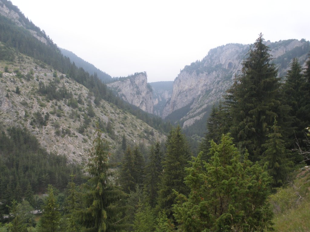 Натиснете снимката за да я уголемите

Име:P6260116.jpg
Прегледи:1
Размер:140.3 КБ
ID:5506304