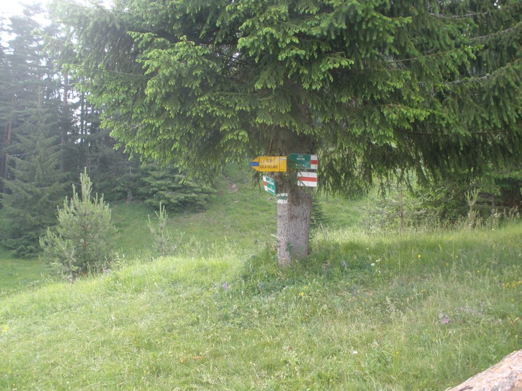 Натиснете снимката за да я уголемите

Име:P6260119.jpg
Прегледи:1
Размер:221.8 КБ
ID:5506306