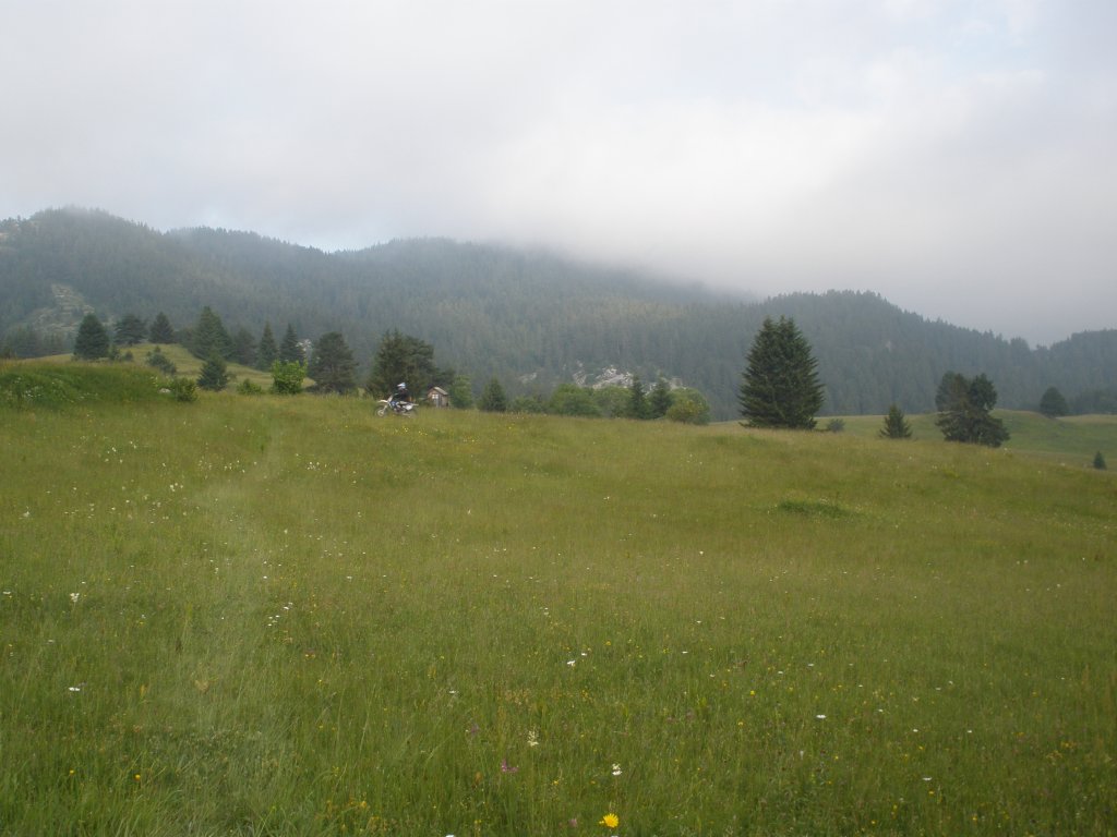 Натиснете снимката за да я уголемите

Име:P6260120.jpg
Прегледи:1
Размер:100.5 КБ
ID:5506307