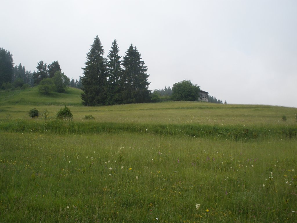 Натиснете снимката за да я уголемите

Име:P6260121.jpg
Прегледи:1
Размер:112.7 КБ
ID:5506308