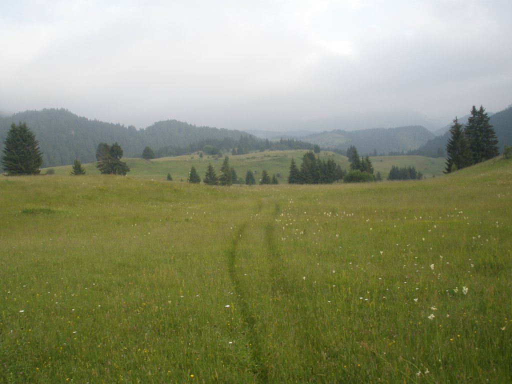 Натиснете снимката за да я уголемите

Име:P6260122.jpg
Прегледи:1
Размер:111.9 КБ
ID:5506309