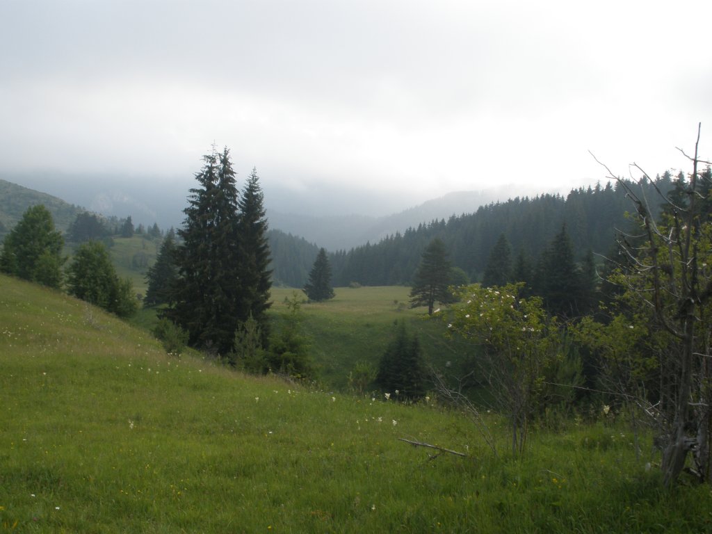 Натиснете снимката за да я уголемите

Име:P6260123.jpg
Прегледи:1
Размер:98.8 КБ
ID:5506310