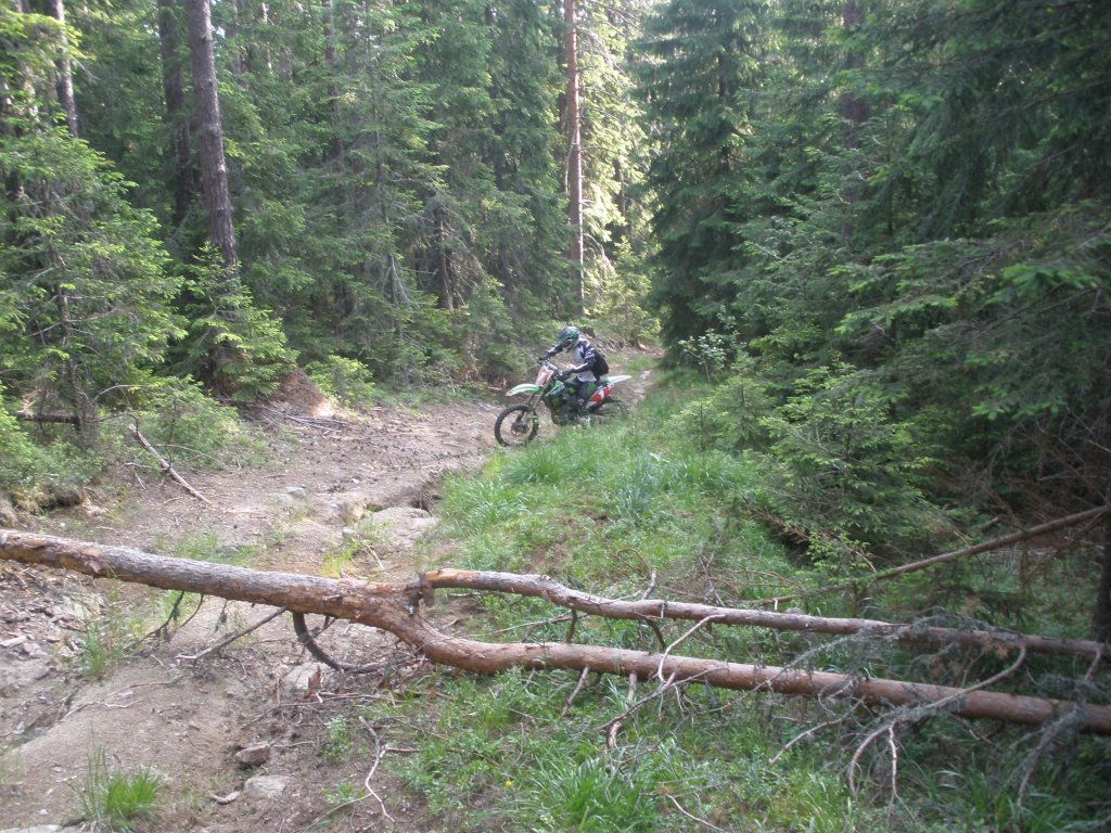 Натиснете снимката за да я уголемите

Име:P6260124.jpg
Прегледи:1
Размер:247.9 КБ
ID:5506311