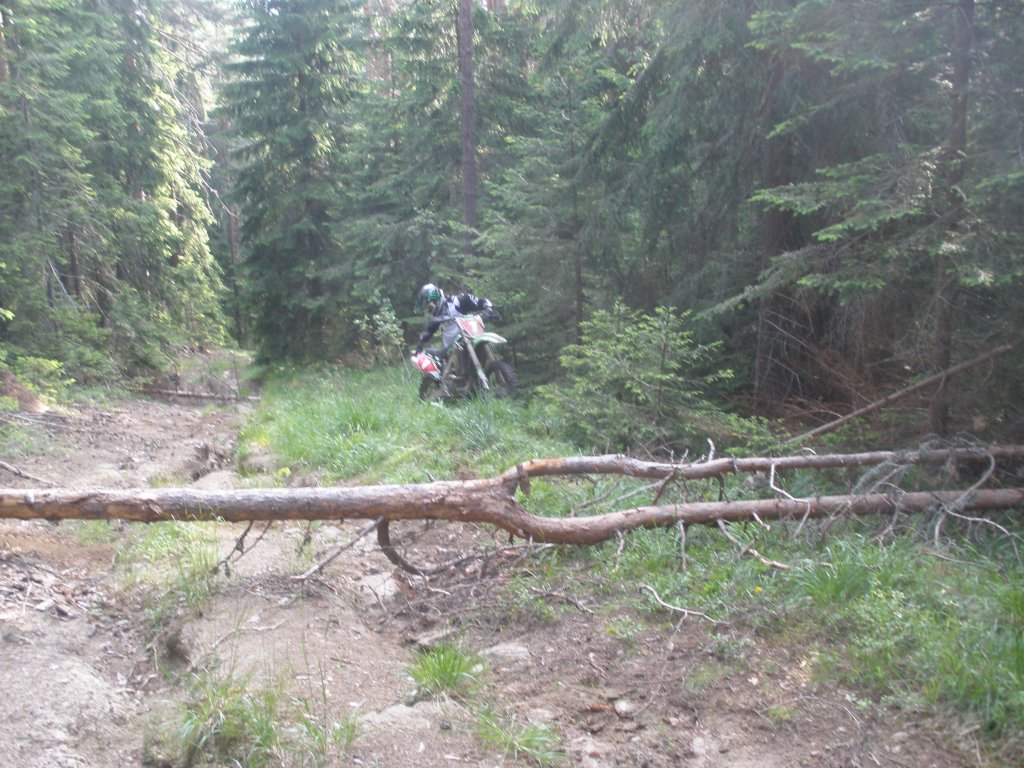 Натиснете снимката за да я уголемите

Име:P6260127.jpg
Прегледи:1
Размер:202.9 КБ
ID:5506314