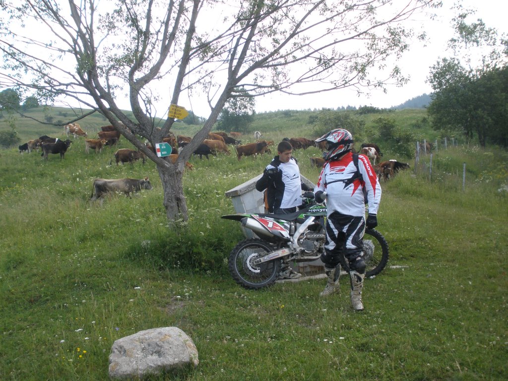 Натиснете снимката за да я уголемите

Име:P6260138.jpg
Прегледи:1
Размер:226.2 КБ
ID:5506325