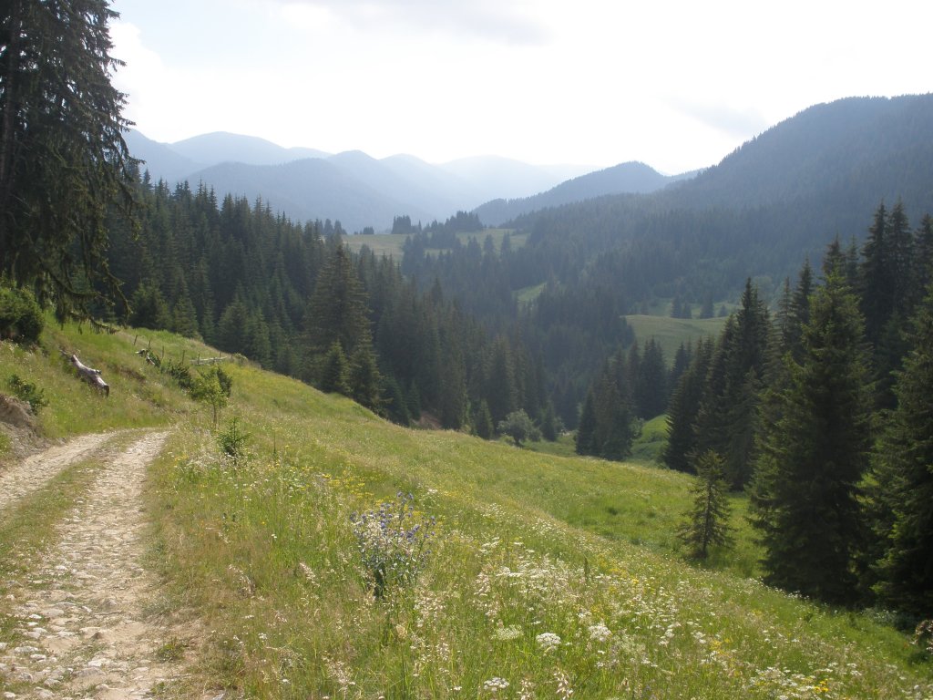 Натиснете снимката за да я уголемите

Име:P6260139.jpg
Прегледи:1
Размер:159.9 КБ
ID:5506326