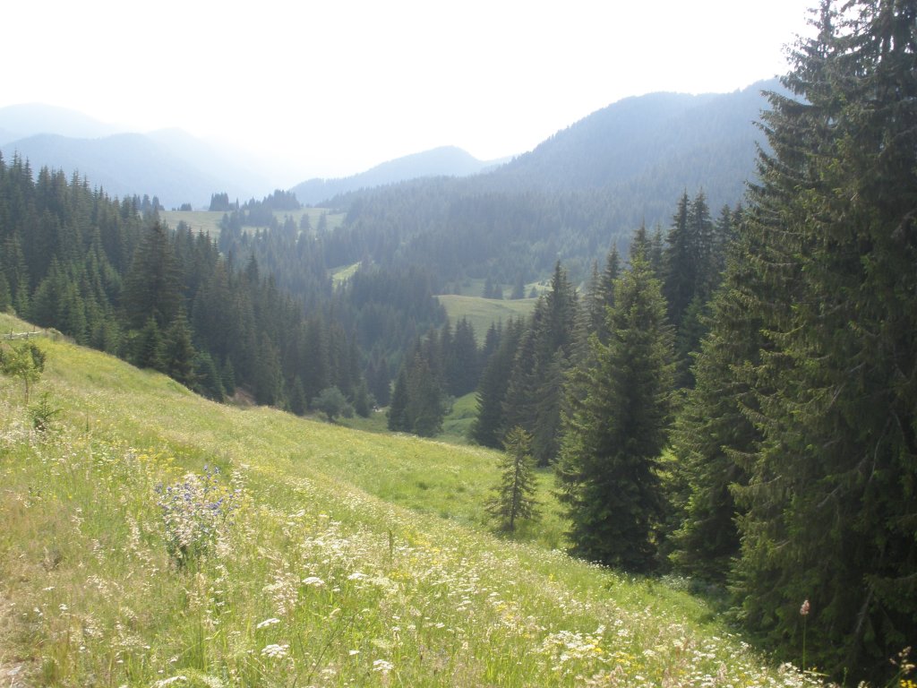 Натиснете снимката за да я уголемите

Име:P6260142.jpg
Прегледи:1
Размер:156.6 КБ
ID:5506329