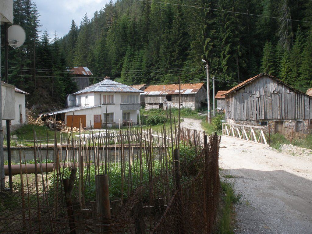 Натиснете снимката за да я уголемите

Име:P6260145.jpg
Прегледи:1
Размер:209.8 КБ
ID:5506494