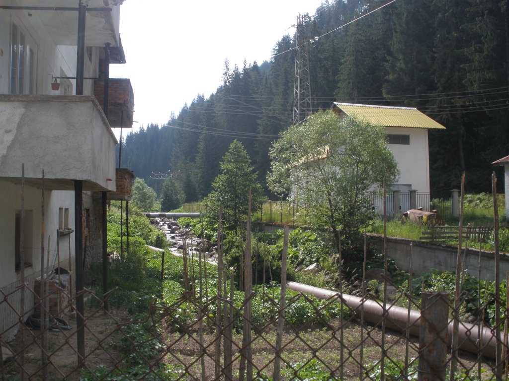 Натиснете снимката за да я уголемите

Име:P6260147.jpg
Прегледи:1
Размер:184.0 КБ
ID:5506496