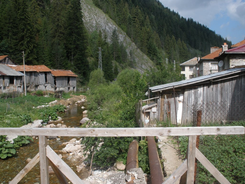 Натиснете снимката за да я уголемите

Име:P6260148.jpg
Прегледи:1
Размер:218.5 КБ
ID:5506497