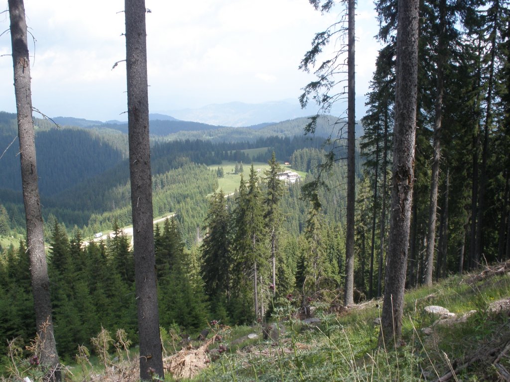 Натиснете снимката за да я уголемите

Име:P6260150.jpg
Прегледи:1
Размер:205.3 КБ
ID:5506499