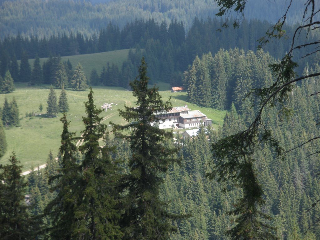 Натиснете снимката за да я уголемите

Име:P6260151.jpg
Прегледи:1
Размер:180.4 КБ
ID:5506500