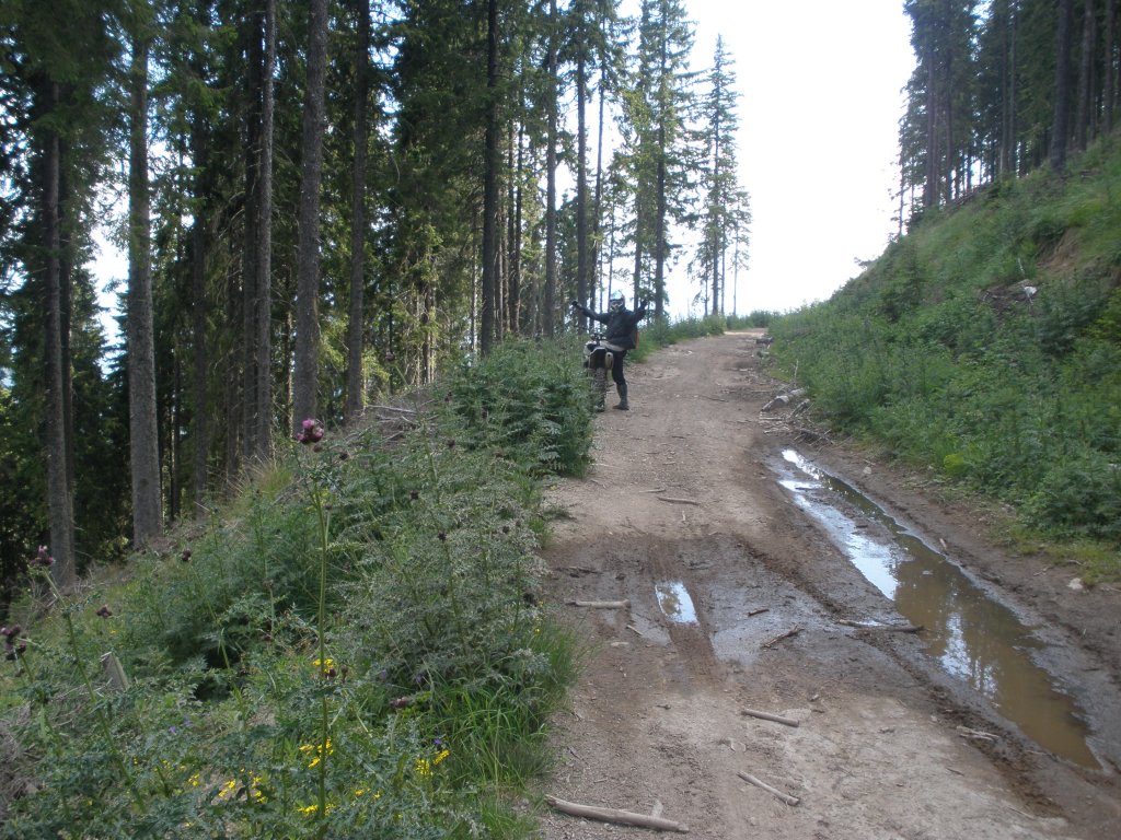 Натиснете снимката за да я уголемите

Име:P6260152.jpg
Прегледи:1
Размер:227.4 КБ
ID:5506501